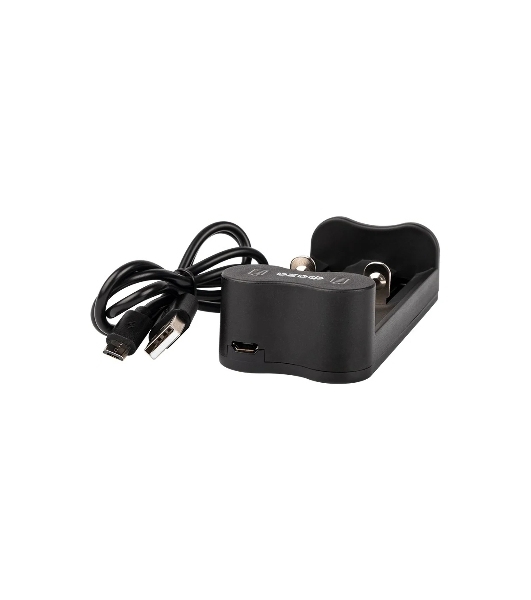 Устройство зарядное L-71USB 2х500мА Li-ion (16340/17650/18650/26650/20700 и др.) 4.2В DC USB-MicroUSB в компл. ФАZА 5032385