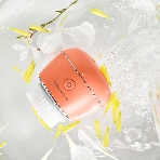 Щетка (д/очистки лица) Rowenta LV4010F0, фото5