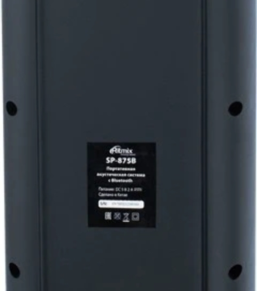 Портативная колонка Ritmix SP-875B черный
