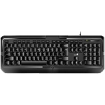 Клавиатура проводная Genius keyboard KB-118 II,RU,USB, черный, фото 1
