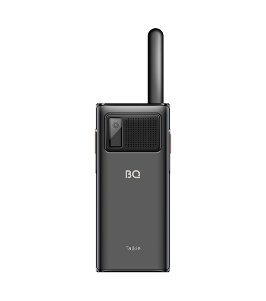 Мобильный телефон BQ 2010 Talkie черный