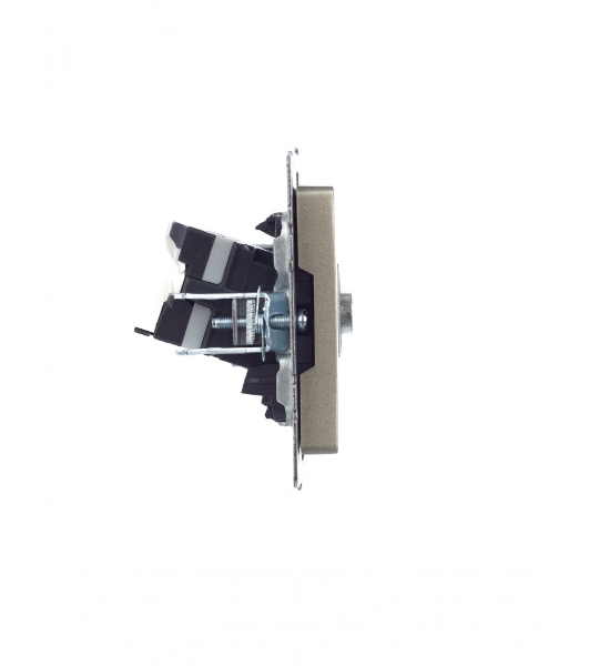 Розетка телевизионная двойная TV+RJ45 IEK Brite РТВ/РК12-БрШ (BR-AK20-1-K37) кат.5E шампань