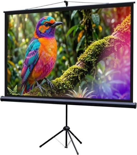 Экран на штативе Lumien Eco View 130x227см (раб.область124х221 см) (100') Matte White 16:9
