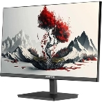Монитор 23.8' RDW Computers RDW2401K IPS 1920x1080, 120 Гц, 5 мс, 16:9, 300 кд/м², VGA, HDMI 1.4, DP 1.2, 3.5 Jack, динамики (2×2 Вт), черный, в реестре Минпромторга, фото2