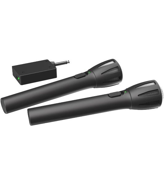 Микрофон Ritmix RWM-302 черный