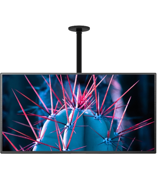 Кронштейн для телевизора Cactus CS-CP07 черный 23'-55' макс.45кг потолочный поворот и наклон