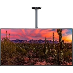 Кронштейн для телевизора Cactus CS-CP04-R черный 37'-70' макс.81.6кг потолочный поворот и наклон, фото4