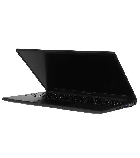 Ноутбук 15.6' IPS FHD RIKOR NINO 201.1 черный (AMD Ryzen 3 5400U/8Gb/256Gb SSD/VGA int/W11Pro/RJ45) (F86340A7)