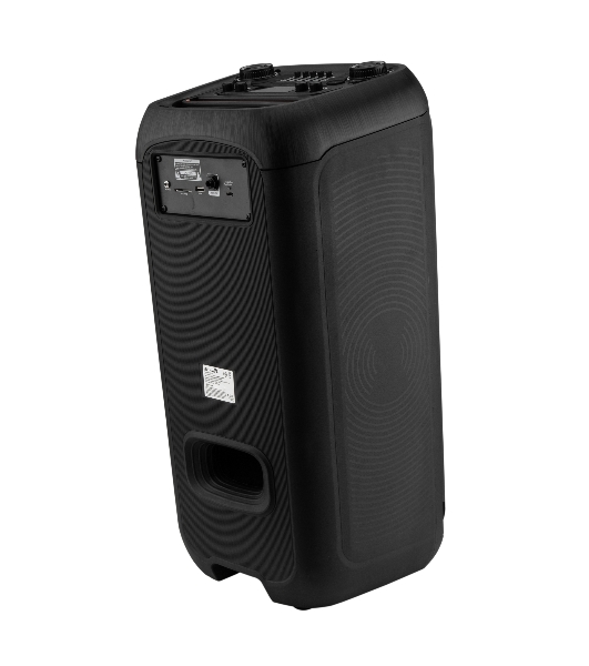 Колонка 08' (20-93 DANCE BOX 800) динамик 2шт/8' ElTRONIC с TWS