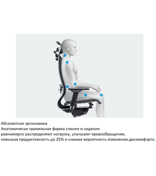 Кресло компьютерное ErgoLife Set 7/подл.131/осн.Synchro 052, черный 219.16.1.403 z316738281