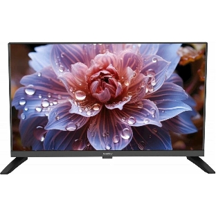 Телевизор GOLDSTAR 24' LT-24R1100 черный DLED HD 60Hz Smart TV