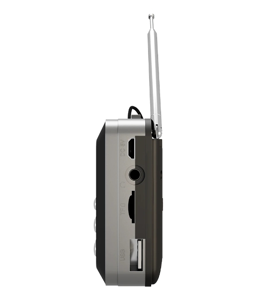 Радиоприемник SOUNDMAX SM-RD2116 черный