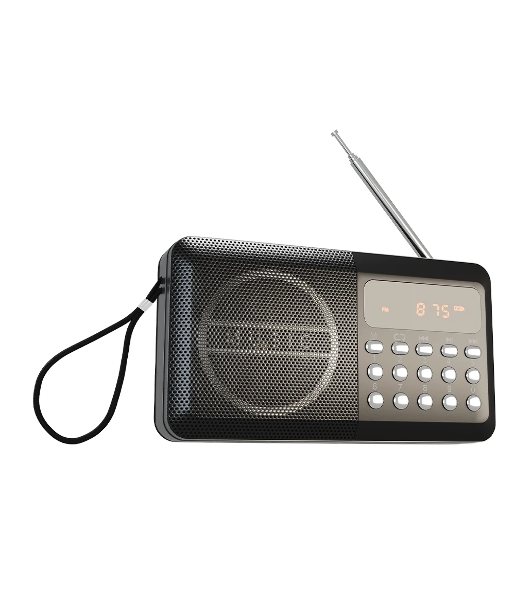 Радиоприемник SOUNDMAX SM-RD2116 черный