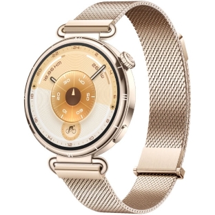 Умные часы HUAWEI Watch GT 6 KSU-B19, 1.32' AMOLED, 4G, Wi‑Fi, Bluetooth, NFC, 5 ATM/IP69, золотой