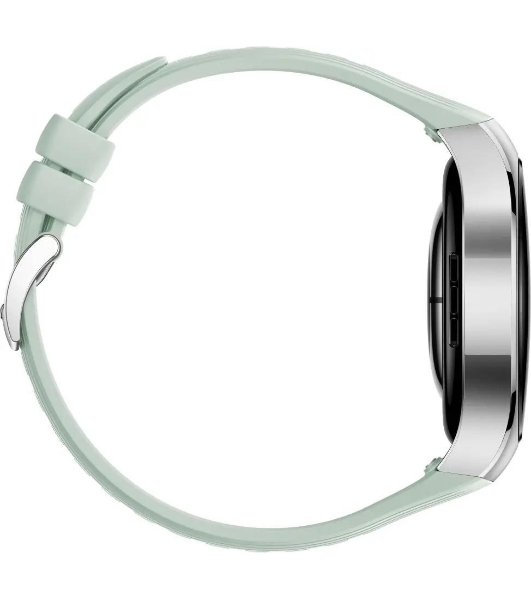 Умные часы HUAWEI Watch 5 Soc-L19F, 1.38' AMOLED, 4G, GPS, IP69, зеленый / серебристый