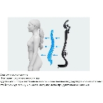 Кресло компьютерное ErgoLife Set 7/подл.131/осн.Synchro 052, черный 219.16.1.403 z316738281, фото13