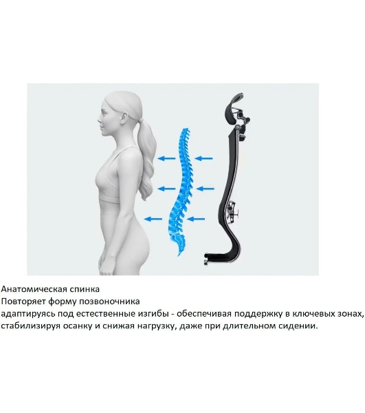 Кресло компьютерное ErgoLife Set 7/подл.131/осн.Synchro 052, черный 219.16.1.403 z316738281