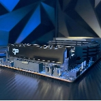 Оперативная память Patriot Signature Premium, DDR5, 64Gb (2x32 Gb), 4800 MHz, CL40, DIMM, радиатор, черный, фото3