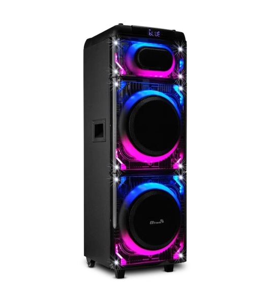 Колонка 10' (20-22 SKILLETS BOX 2500 ) динамик 2шт/10' ELTRONIC с TWS