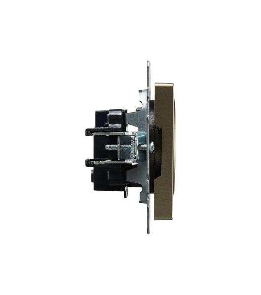 Розетка 1-местная IEK BRITE РС10-1-0-БрШ (BR-R10-10-K37) 10А, без заземления, без защитных шторок, шампань