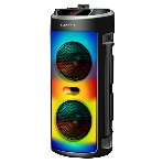 Акустическая система Midi GM-231 TWS/BT/USB/TF/FM/ДУ черный, фото 1