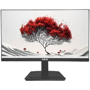 Монитор RDW Computers 23.8' RDW2401K черный IPS 4ms HDMI M/M HAS Piv 350cd 178гр/178гр 1920x1080 120Hz VGA DP FHD USB (RUS)