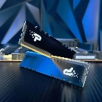 Оперативная память Patriot Signature Premium, DDR5, 32Gb (2x16 Gb), 5600 MHz, CL46, DIMM, радиатор, черный, фото 1