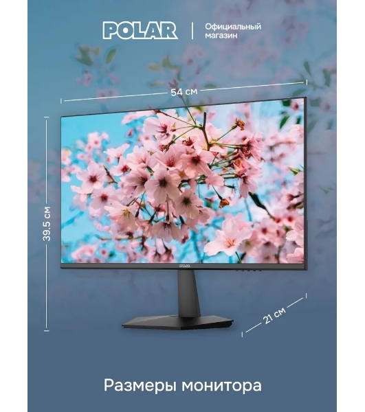 Монитор POLAR P24F12M