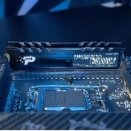 Оперативная память Patriot Signature Premium, DDR5, 32Gb (2x16 Gb), 5600 MHz, CL46, DIMM, радиатор, черный, фото5