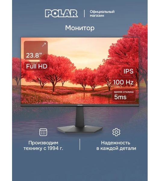 Монитор POLAR P24F12M