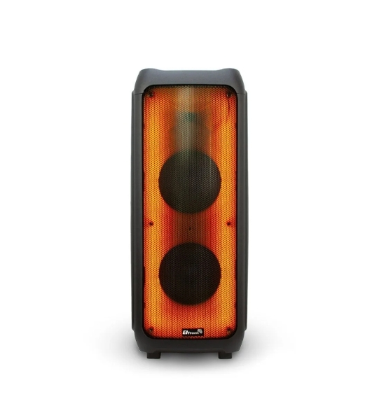 Колонка Eltronic 10' динамик 2шт/10' с TWS 100 Вт черный