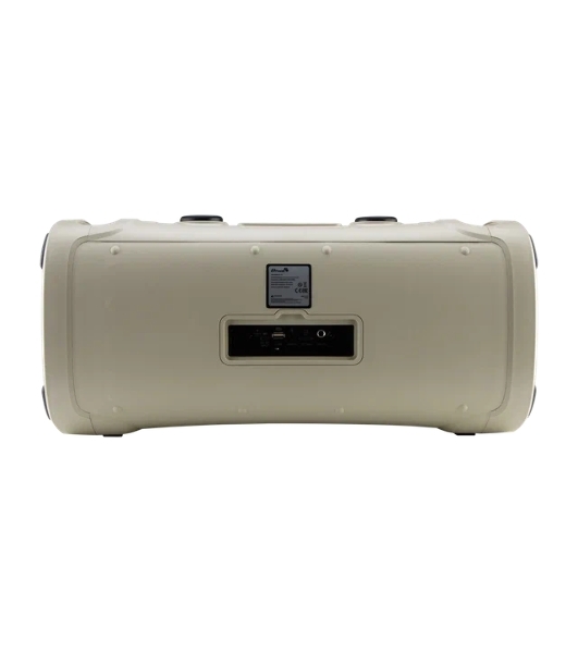 Акустическая колонка Eltronic DANCE BOX 900 - колонка 06', белый