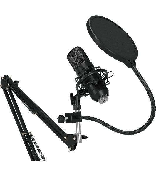 Микрофон проводной Оклик SM-600G 2.5м черный