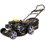 Газонокосилка бензиновая Champion LM5131, 4,1 л.с., фото 1
