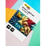 Бумага цветная Silwerhof тонир. 10 л. 10цв. A4 CREATE 80г/м2 папка, фото5