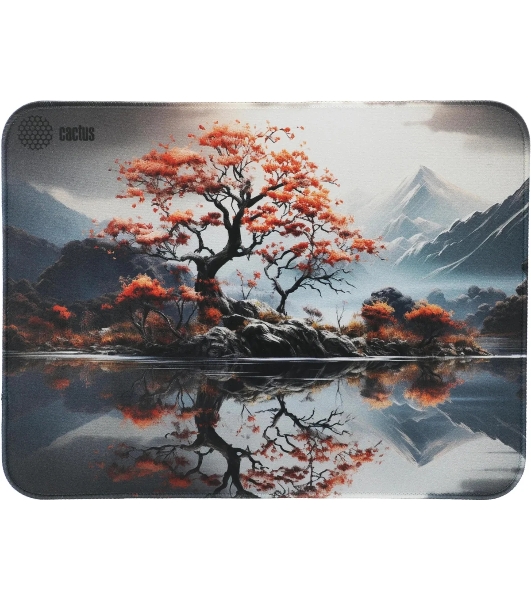 Коврик для мыши Cactus Lake 400x300x3мм (CS-MP-PRO18XL)