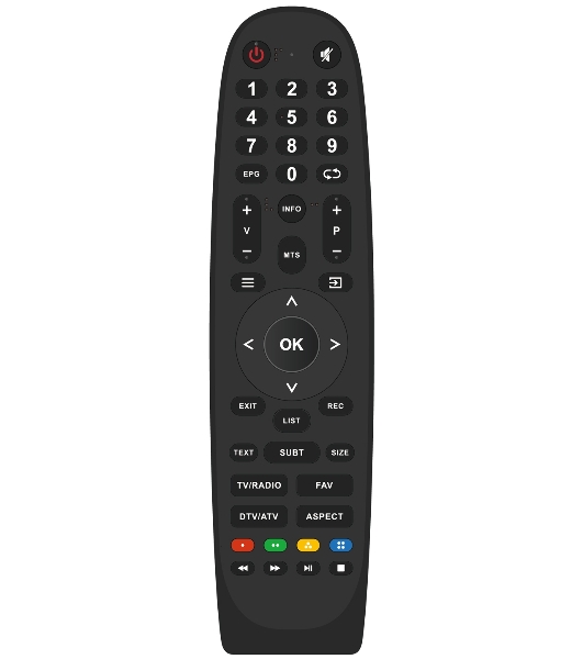 Телевизор TopDevice 24' TDWC24BH1000I черный DLED HD 60Hz