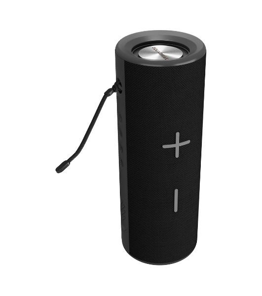 Портативная колонка Soundmax SM-PS5024B черный