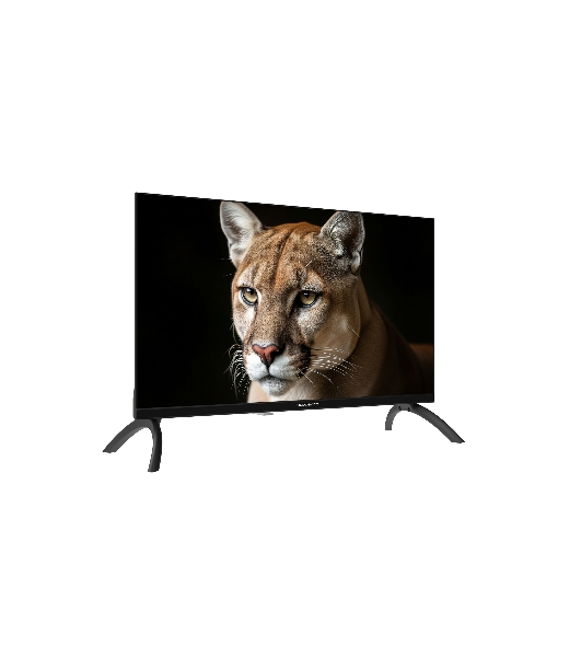 Телевизор TopDevice 24' TDWC24BH1000I черный DLED HD 60Hz