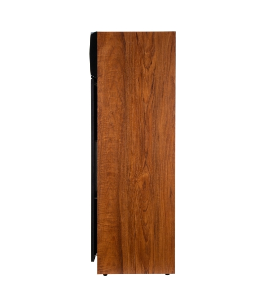 Акустическая система ELTRONIC (30-58) HOME SOUND - колонка 10', бук