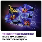 Телевизор Haier 55' DH1VMZD01RU серый QLED 4K UHD 60Hz Smart TV Android TV 2GB/16GB, фото10