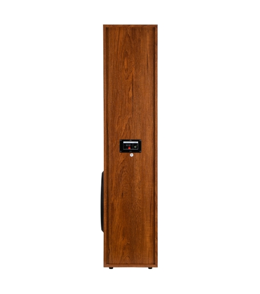 Акустическая система ELTRONIC (30-58) HOME SOUND - колонка 10', бук