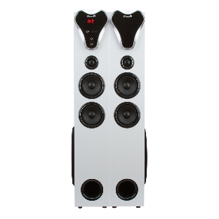 Колонка ELTRONIC (20-80) HOME SOUND белый - колонка 10