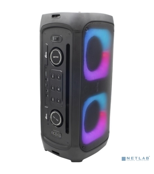Портативная колонка Ritmix SP-910B черный