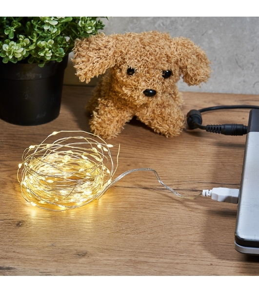 Гирлянда Neon-night 'Роса' 5 м, 50 LED, USB, теплое белое свечение