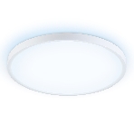 Потолочный светодиодный светильник Ambrella light FZ3005 WH белый IP44 33W+10W 6400+6400К D370*40 (Без ПДУ), фото10