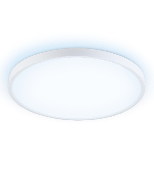 Потолочный светодиодный светильник Ambrella light FZ3005 WH белый IP44 33W+10W 6400+6400К D370*40 (Без ПДУ)