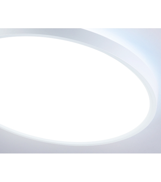 Потолочный светодиодный светильник Ambrella light FZ3005 WH белый IP44 33W+10W 6400+6400К D370*40 (Без ПДУ)