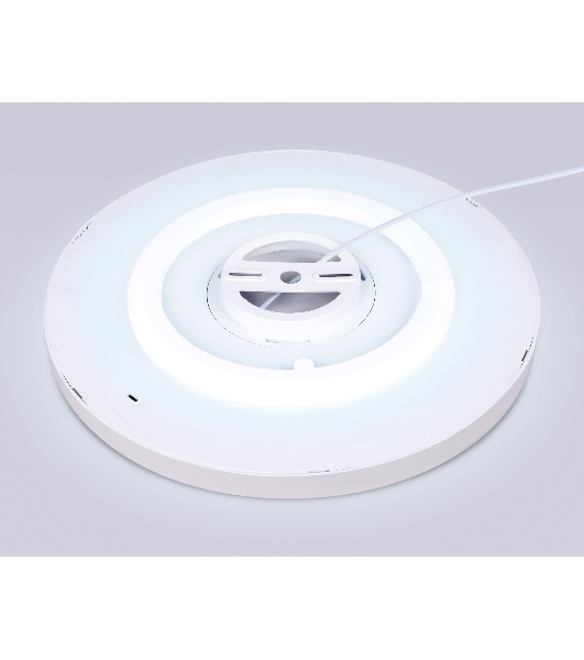 Потолочный светодиодный светильник Ambrella light FZ3005 WH белый IP44 33W+10W 6400+6400К D370*40 (Без ПДУ)