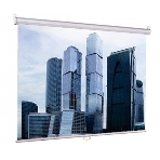 Экраны LUMIEN Eco Picture LEP-100101, 150х150 см, 1:1, фото3